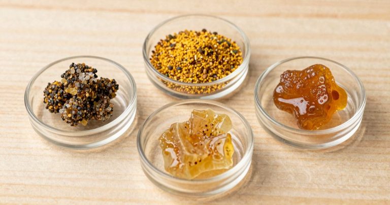 résine cbd: hash, pollen ou rosin — guide clair pour choisir